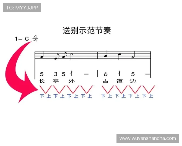 南京篮球队的节奏打法深度分析与战术解读