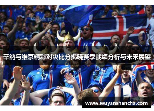 辛纳与维京精彩对决比分揭晓赛季战绩分析与未来展望