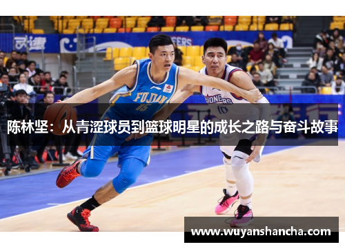 陈林坚：从青涩球员到篮球明星的成长之路与奋斗故事